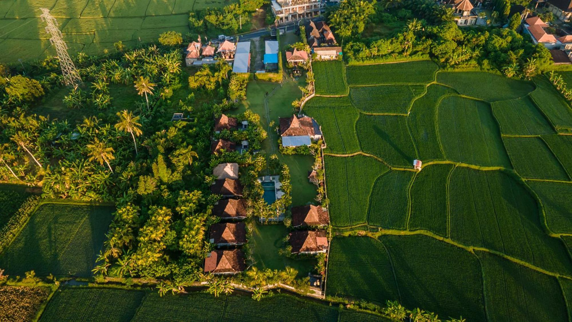 Aswanaya Villas Ubud Exterior foto